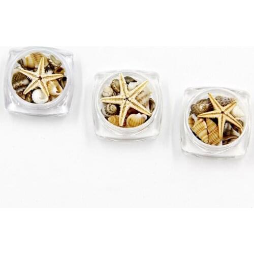 Small Natural Beach Seashell Starfish Nautical Decor Nail Art Jewelry Making