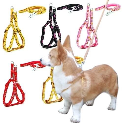 Dog Cat Harness Leash Adjustable Collar Pet Products for Cat Small Dog Outdoor Walking Chihuahua Terier
