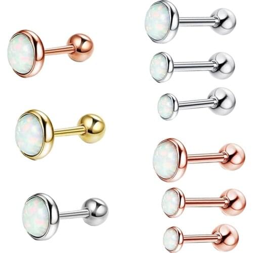 Fanpeijy Stainless Steel Crystal Opal Ear Studs Earrings For Women/Men Tragus Cartilage Piercing Jewelry Silver Rose Gold Helix