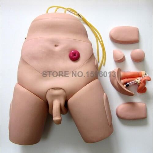High Quality Catheterization and Enema Model Male Female Urine Drainage Manikin with Electronic Monitor