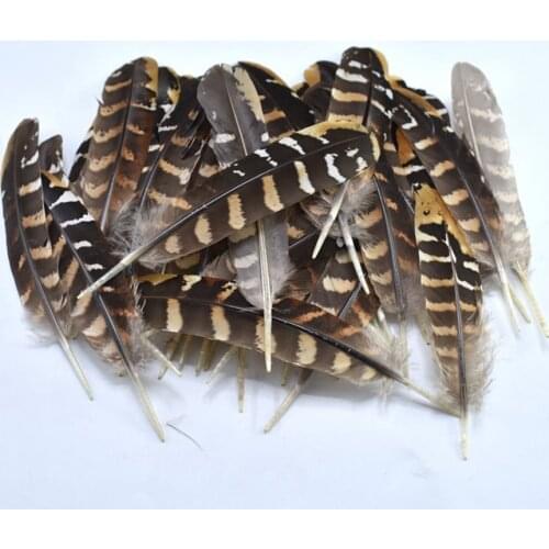 10pcs/lot Natural Crafts Feathers Plume Jewelry Making DIY Party Wedding Pheasant Feather Small handwork Home Decoration 15-20cm