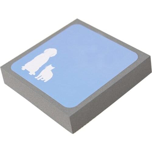 Pet Hair Cleaner, Reusable Hair Fur Remover for Pet Dogs Cats, Pet Hair Foam Block Erasing for Furniture Bedding