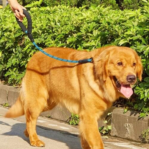 Nylon Soft Pet Dogs Chain Traction Rope Leads Free Hands Diagonally Dog Rope Explosion-proof Chain for Large Dogs D2295