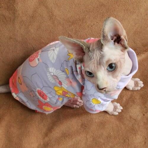 Sphinx Cat Clothes Steefan Clothes Devin Cat Clothes 100% Cotton Soft Sweater