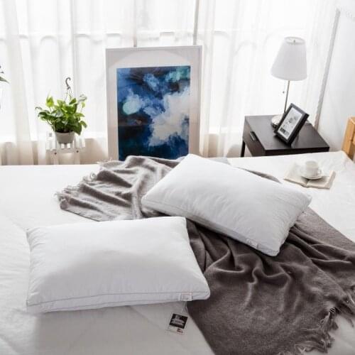 Three-Dimensional White Cloth Feather Velvet Pillows on Beds and Sofas, Soft and Fluffy Pillows at Home and Hotels