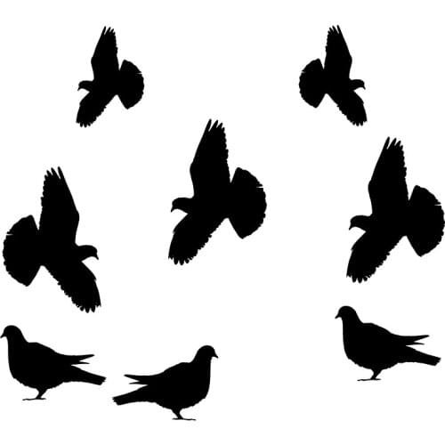 16*14.2cm Flock of Birds Pigeons Doves Flying Wild Flight Decal Window Bumper Sticker Car Styling Car Sticker