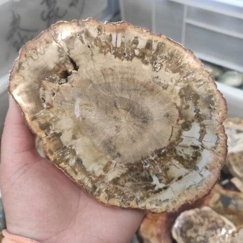 200-300g natural stones and minerals crystal woodstone fossil tree for chakra fossil Madagascar crystal coaster home decoration