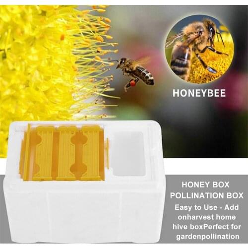 Foam Bee Mating Box with Grid Warmkeeping Waterproof Queen Breeding Case 24.1x15x14.1cm Beekeeping Tools for Pollination Home Ac