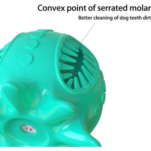 Dog Teeth Grinding Stick Gnawing Teeth Clean Bone Dog Tooth Brush Chewing Gum Pet Toy Dog Bite Resistant Molar Grinding