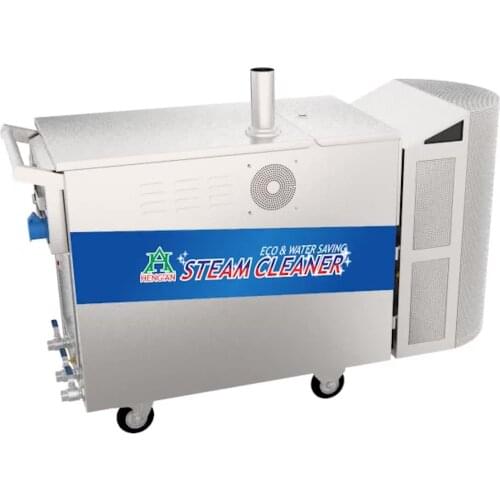 Mobile Steam Car Washer, High Pressure Portable Clean Equipment, Door to ing Machine