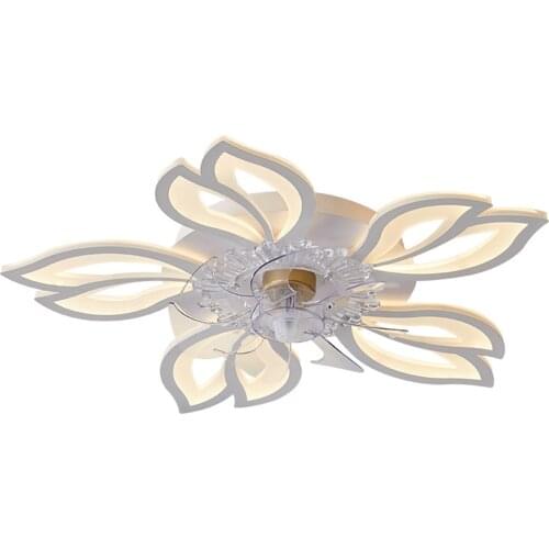 Cycle Zone Ceiling Fans