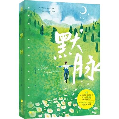 New Mo Mai Chinese Novel Book by Jing Shui Bian Youth Urban Emotion Novel Male Romance Novels Fiction Book