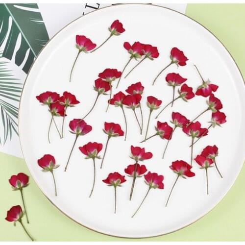 12 pieces of 2-4cm rose dried flowers, all kinds of DIY dry flower ornaments, handmade fragrant candle decoration