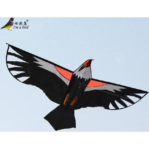 Outdoor Fun Sports 2M Power Kite/ Eagle Kites With Handle And Line Good Flying