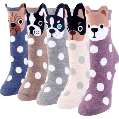 Cheap womens cute cartoon socks spring summer and autumn 5 color fashion dog sock ladies and female cool animal party socks