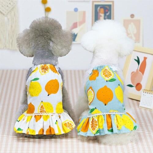 2021 new fruit lemon cotton cheap and comfortable clothing dog skirt summer pet clothes dauchshund pineapple cute pet costume