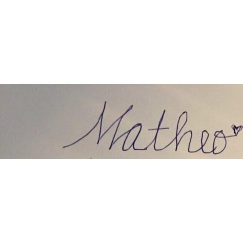 Matheo NEON SIGN For Tron Signboard REAL GLASS BEER BAR PUB display christmas Light Signs 17*14"