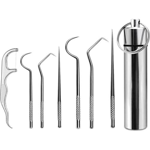 1 Set Portable Stainless Steel Toothpick Reusable Travel Camping Fruit Fork Multifunctional Toothpick Oral Care Tools