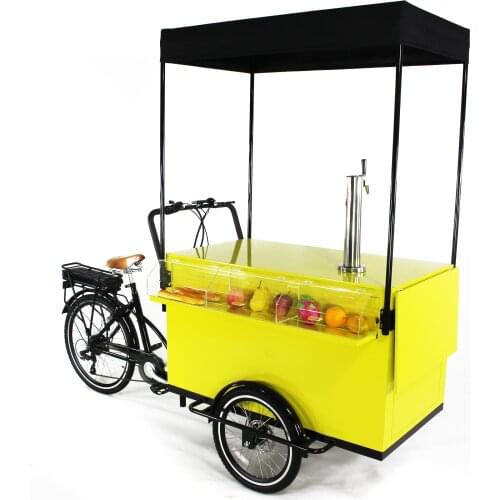 Popular cost effective pedal/electric food trucks mobile food trailer food cart street touch screen kiosk for sale