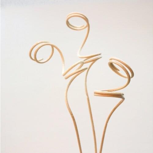 10pcs Reed Diffuser Replacement Stick Wood Rattan Reeds Through Flowers Diffusers Accessories DIY Home Living Room Decor