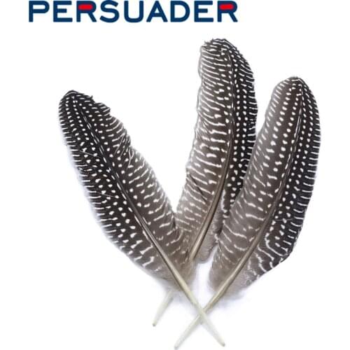 Persuader selected 8pcs genuine guinea hen plume 15-20cm black white dot wing feather classic winging fly tying materials