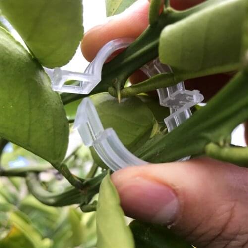 50/100Pcs Plastic Plant Clips Supports Connects Reusable Protection Grafting Fixing Tool Gardening Supplies for Vegetable Tomat
