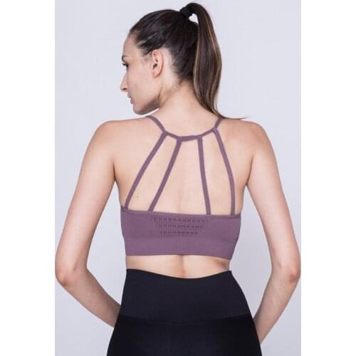 Women Sports Bra Sportswear Push Up Joggings Running Top with Pads Training Women Fitness Gym Bra Hollow Out Seamless