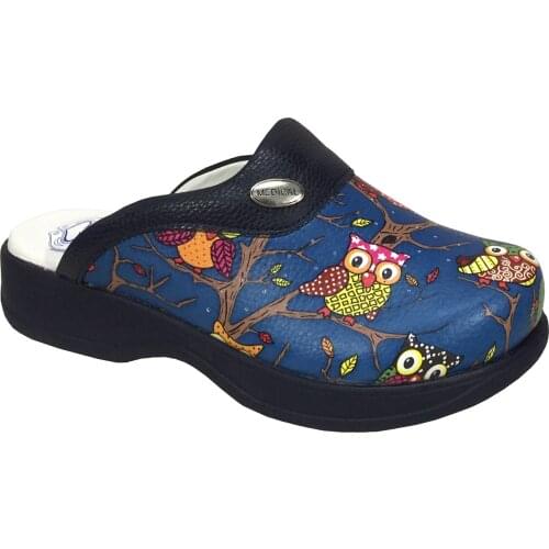 Hippocrates Orthopedic Doctor Nurse Hospital Cook Slipper Sabo Slippers