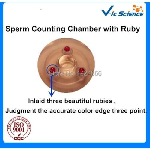 High Quality Red Ruby Sperm Counting Plate With Grid