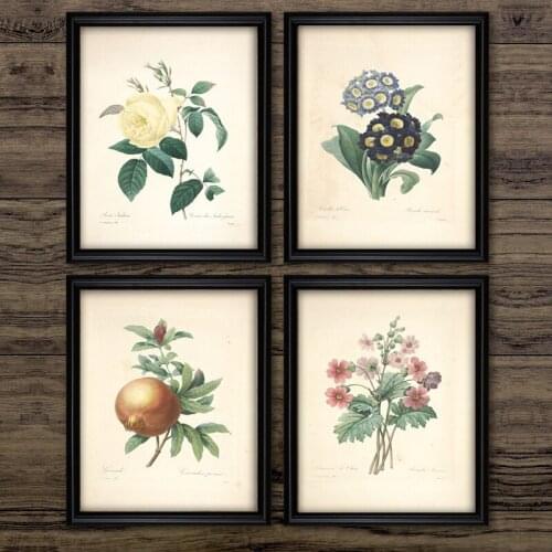Classic Retro Botanical Painting Vintage Ancient Botany Flower Fruits Posters Prints Wall Art Picture Room Decor Kraft paper