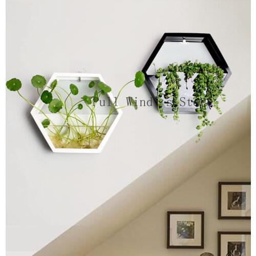 Fashion simple home Polygon wall pots Creative Pastoral Flowers and plants Hydroponic plants Wall Planting pots