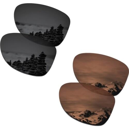 SmartVLT 2 Pairs Polarized Sunglasses Replacement Lenses for Oakley Dispatch 2 Stealth Black and Amber Brown