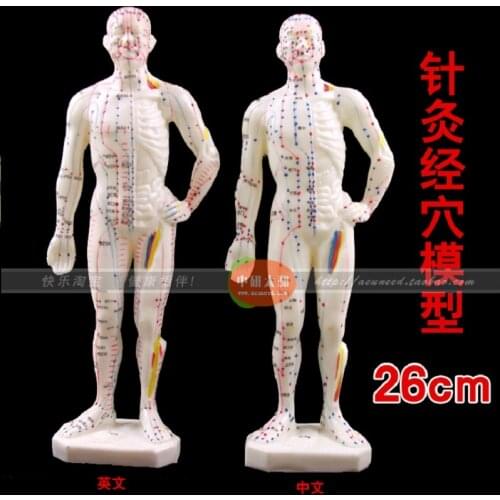 26cm Chinese body model for acupuncture point Male Human Acupuncture Points Model Acupuncture Point Model