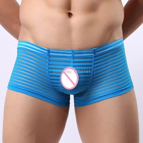 Mens Striped Boxer Soft Gauze Sheer Underwear Sexy Guys Lingerie Trunk Pants