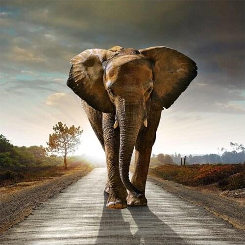 Elefantes and Son Wild Animals Canvas Art Painting Posters and Prints Scandinavian Cuadros Wall Art Picture for Living Room