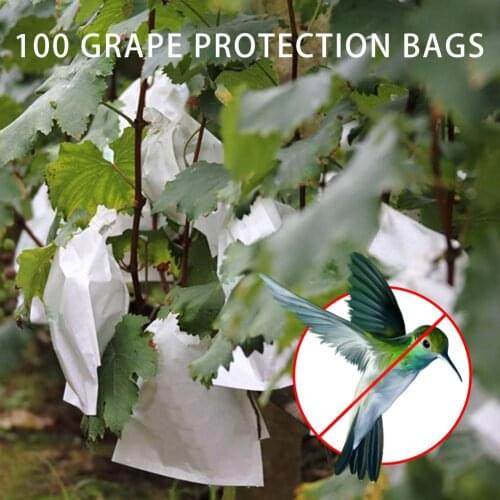 100PCS Garden Plants Vegetable Fruit Protection Bag Grape Protection Bags Bird Drawstring Netting Mesh Bag For Agriculture Pest