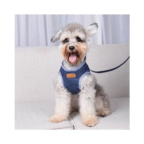 Pet Leash Vest-Style Cowboy Dog Leash Dog Chest Harness Set Pet Safety Belt Dog Leash Dogs Accessoires Small Dog Accessories