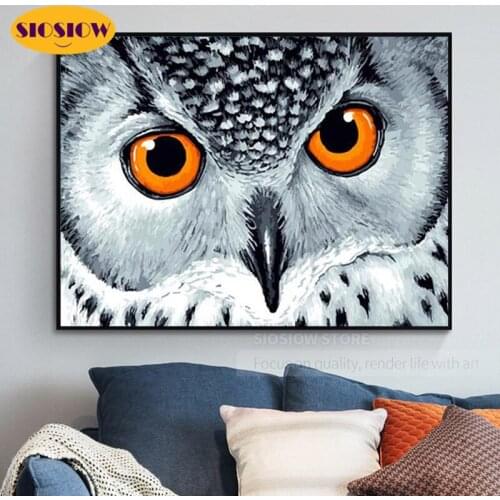 5D Diy Diamond Painting Snowy White Owl Cross Stitch Full Square Round Resin Diamond Embroidery Owls Animal Home Decor Room Gift