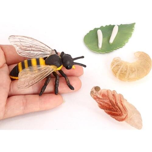 Kids Nature Insects Honey Bee Growth Cycle Playset Education Cognitive Biology Toys Themed Party