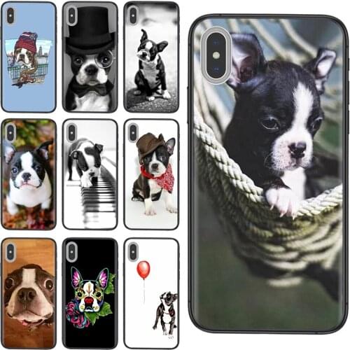 Luxury Boston Terrier Pet Dog Puppies For Samsung Galaxy Note 10 Plus Ultra M51 M31 M30S J6 J8 2018 A10 A10S A11 Special Luxury