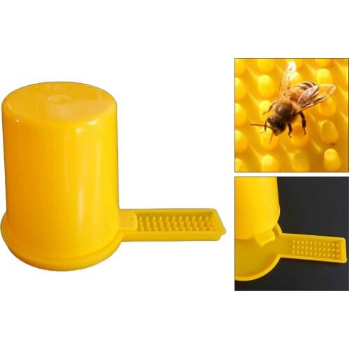 1PCs Beekeeping Beehive Water Feeder Bee Drinking Nest Entrance Beekeeper Cup Tool Bee Feeding Detachable Beekeeping Supplies