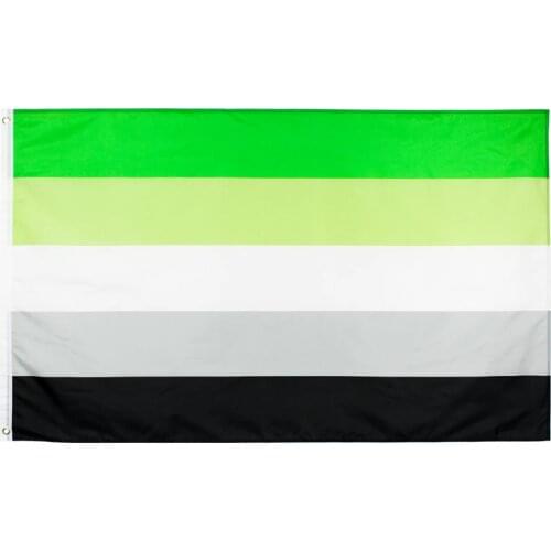 90x150 CM LGBTQIA Romantic Orientation Aromantic Pride Flag For Decoration