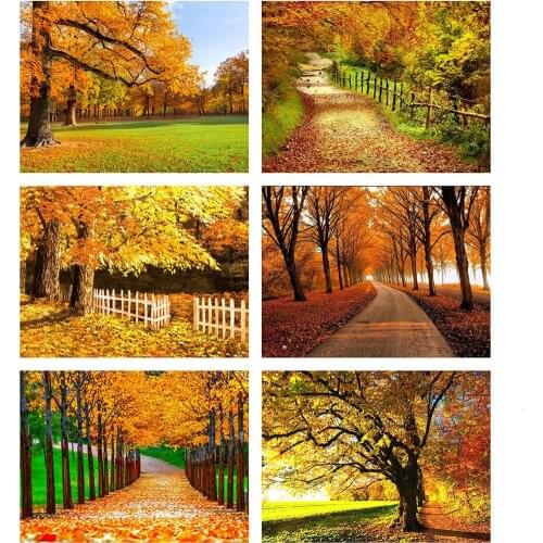 Evershine 5D DIY Diamond Painting Autumn Landscape Embroidery Cross Stitch Full Square Mosaic Crafts Kit Home Decor