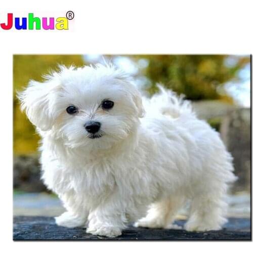 Maltese Dog pattern Diamond mosaic 5d diy diamond painting full square round drill rhinestone embroidery kits fantasy Animal