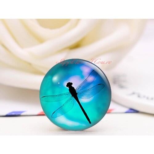 Handmade Round Dragonfly photo glass Cabochons, Jewelry Finding Cameo Pendant Settings, (F008-192)