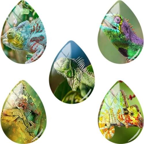 TAFREE 18x25mm Tear Drop Glass Bead Shaped Art Lizards Patterns Animal Theme Vintage Cameo Settings Jewelry Findings HL144