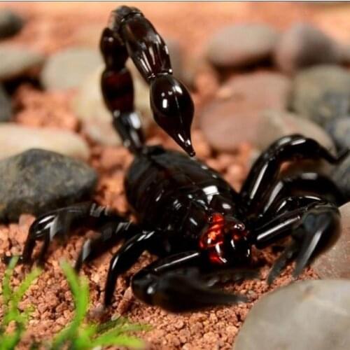 Scorpions simulation toys toy Remote Control Scorpions Simulation Toys Crawling Animal Car High Electric Ready-to-go Model