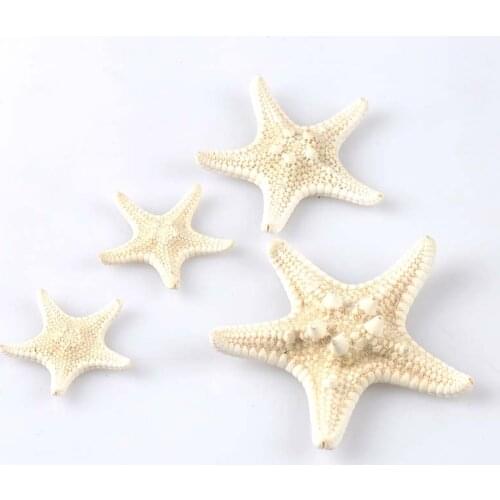 Natural Starfish BEIGE color Scrapbooking Carft for party Home decoration random mixed 4pcs 2-6CM CP1802