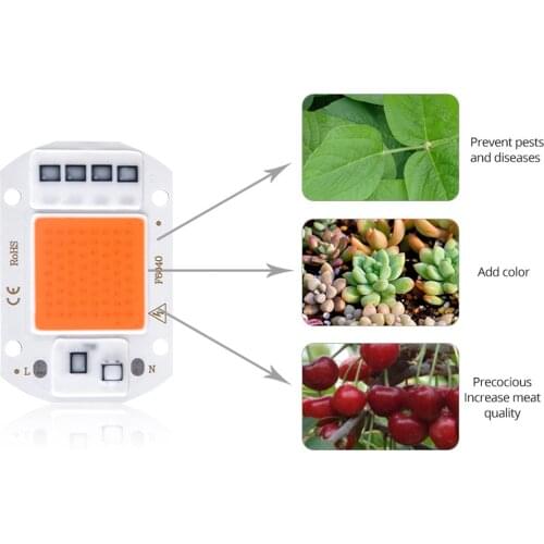 NDTUSMZ Outdoor Wall Lights