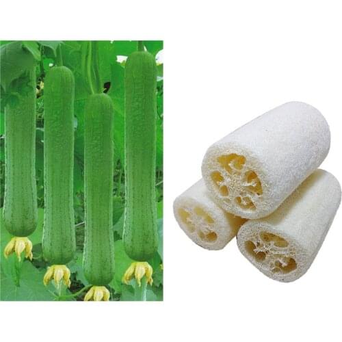 1PC New Household Natural Loofah Bath Body Shower Towel Sponge Merchandises Scrubber Spa Massage Pad Smooth Washcloths Eco Hot